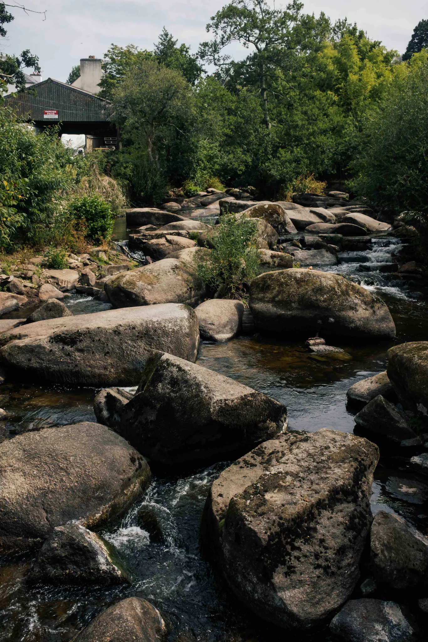 Brittany — 10
